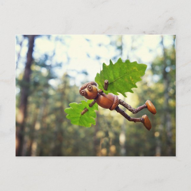 Acorn elf Ikaros flyer - postcrossing postcard (Front)