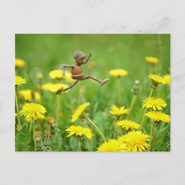 Acorn elf jumping on dandelions on the meadow postcard (Front)