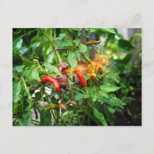 Acorn elf just tasted a spicy chilli pepper postcard