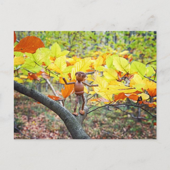 Acorn elf on a beech tree autumn  postcard (Front)