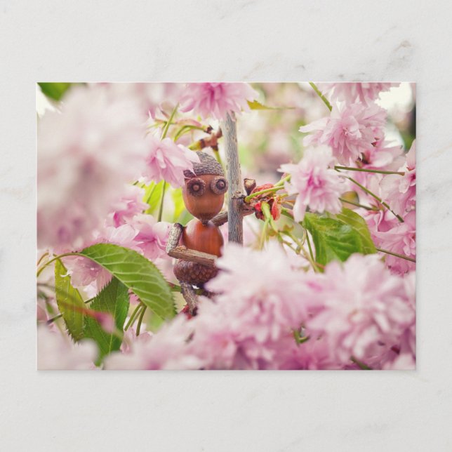 Acorn elf on the blossom sakura tree postcard (Front)