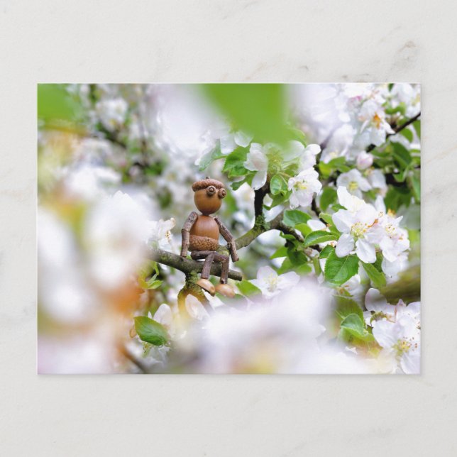 Acorn elf on the blossom tree postcard (Front)