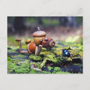Acorn elf photographer with bug postcard