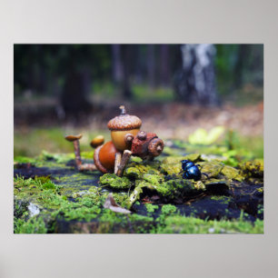 Acorn elf photographer with bug poster