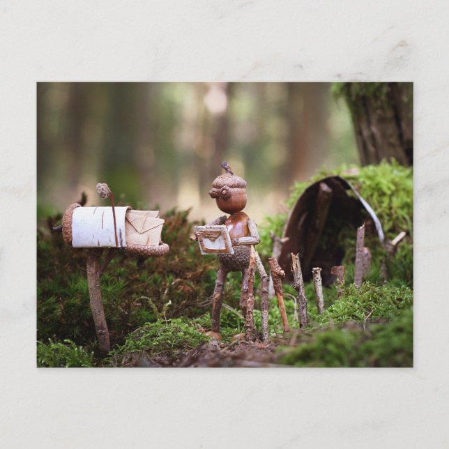 Acorn elf reading postcard - postcrossing postcard (Front)