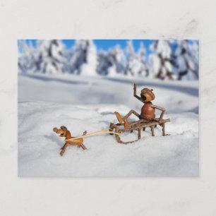 Acorn Elf Sledding with a Dog Postcard