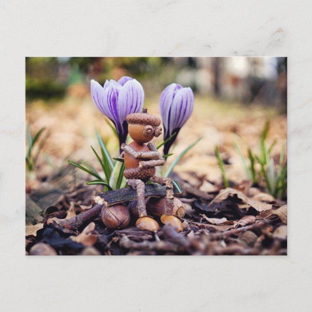 Acorn elf waiting for the spring postcard (Front)