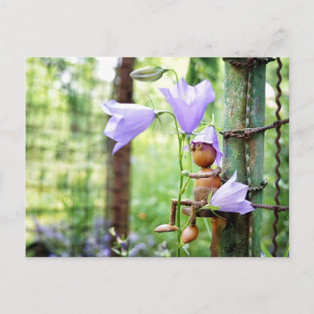 Acorn elf with blue bells flower summer postcard (Front)