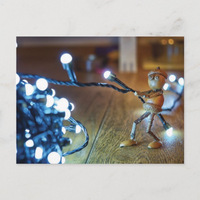 Acorn elf with Christmas light chains - Christmas Postcard (Front)