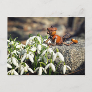 Acorn elf with snowflake flower spring postcard