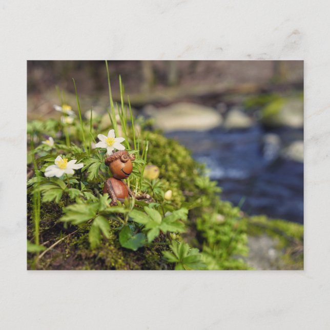 Acorn elf with spring flowers postcard (Front)