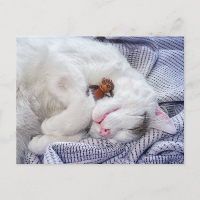 Acorn elf with the cat postcard (Front)