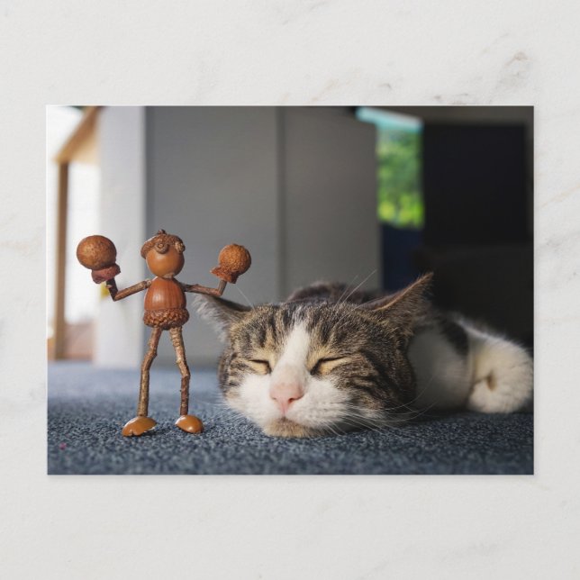 Acorn elf won a boxing match against a cat - funny postcard (Front)