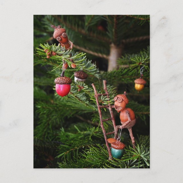 Acorn elves decorating Christmas tree - Christmas Postcard (Front)