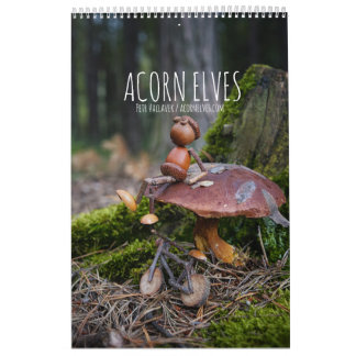 Acorn Elves / Dubanci photo calendar