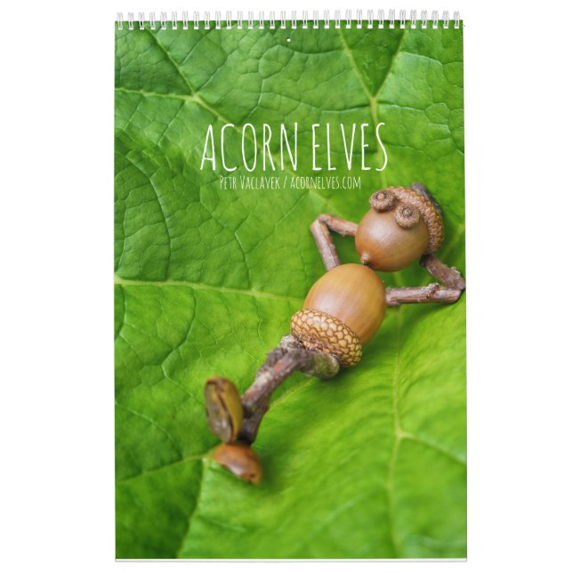 Acorn Elves / Dubanci photo calendar (Cover)