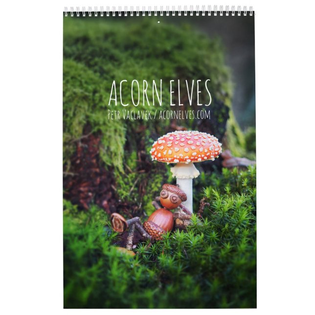 Acorn Elves / Dubanci photo calendar (Cover)
