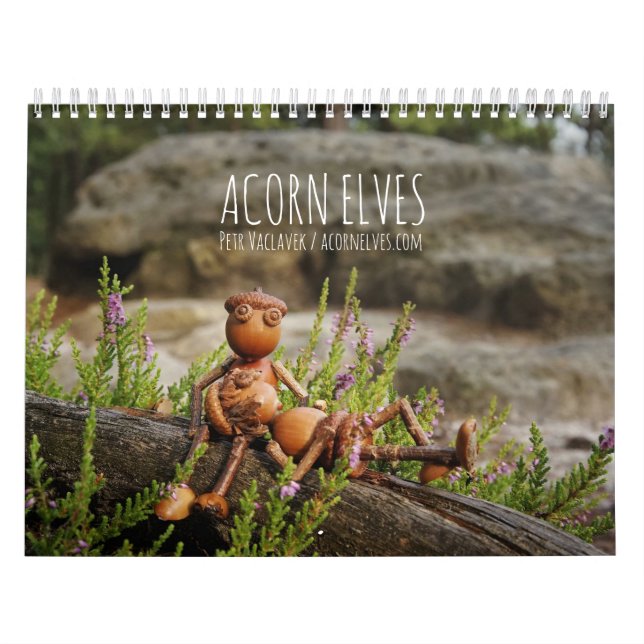Acorn Elves / Dubanci photo calendar (Cover)