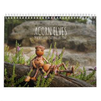 Acorn Elves / Dubanci photo calendar