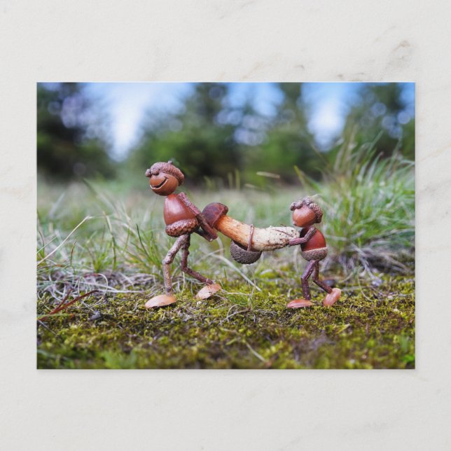 Acorn elves with big mushroom in the basket postcard (Front)