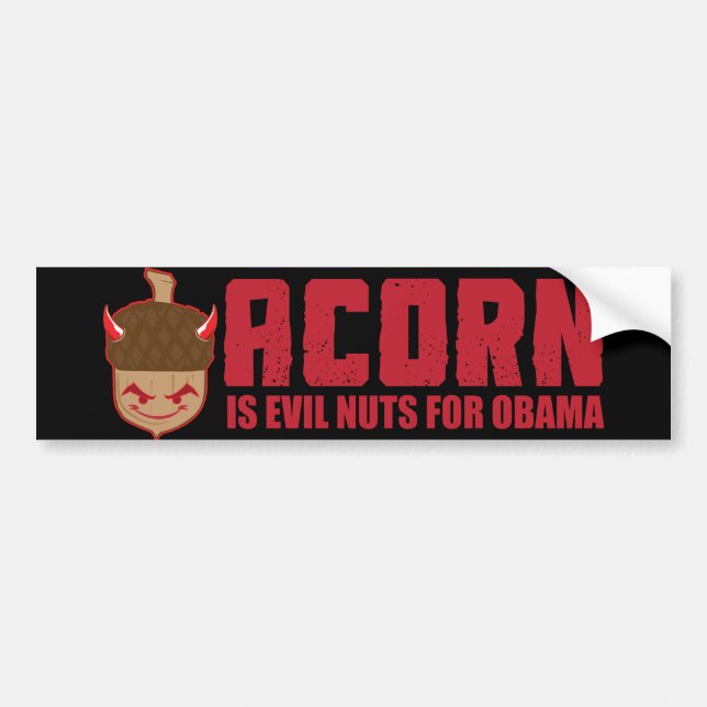 Acorn is Evil nuts for Obama Bumper Sticker (Front)