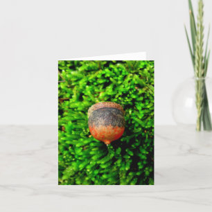 Acorn & Moss Notecard