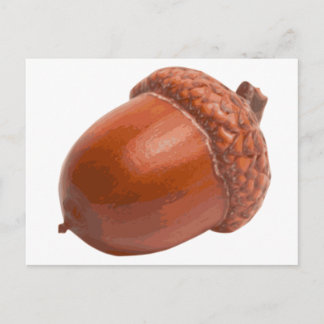 acorn.png postcard
