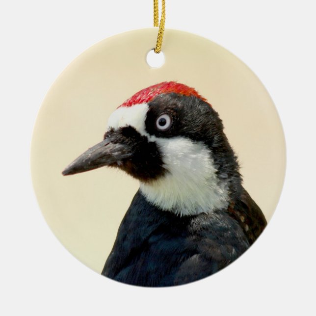 Acorn Woodpecker Portrait Ceramic Tree Decoration (Front)