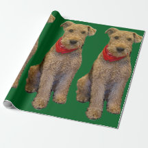 Acorn Wrapping Paper