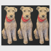 Acorn Wrapping Paper - Black