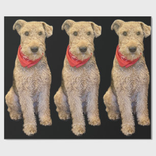 Acorn Wrapping Paper - Black