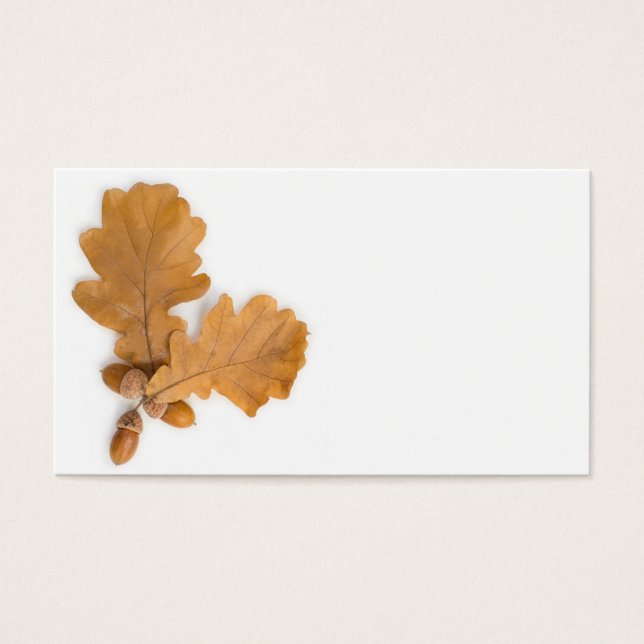 Acorns (Front)