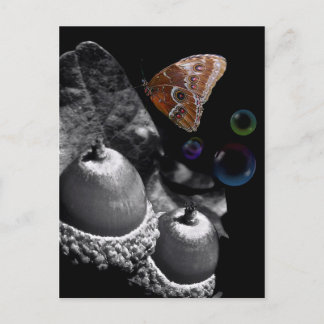 Acorns Butterfly and Bubbles Postcard