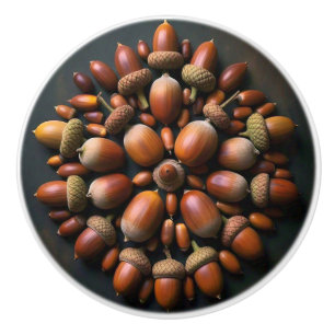 Acorns Ceramic Knob