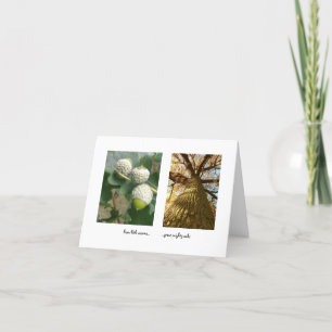 Acorns to Oaks Card
