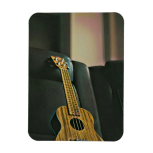 acoustic bass electric guitar gift magnet