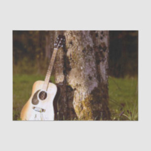 acoustic guitar against tree tissue paper
