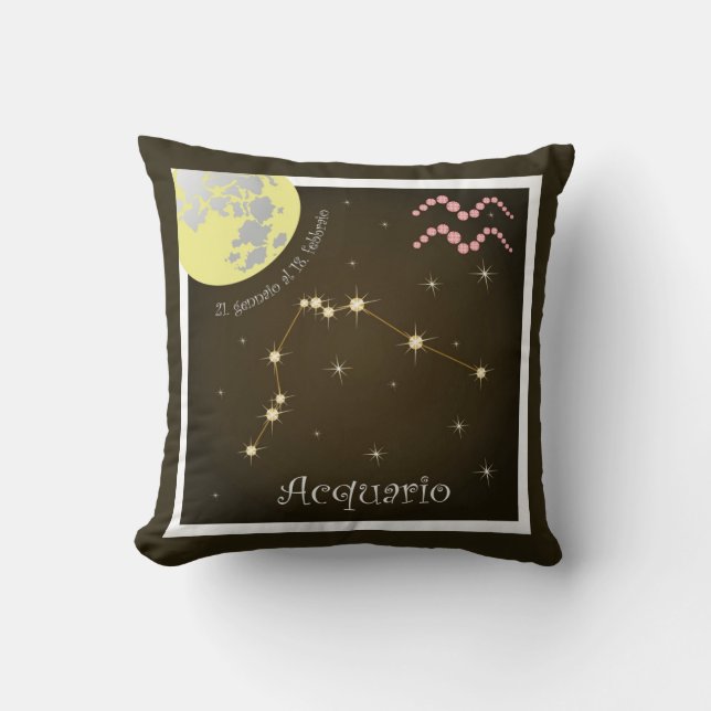 Acquario 21 gennaio al 18 febbraio pillows (Front)