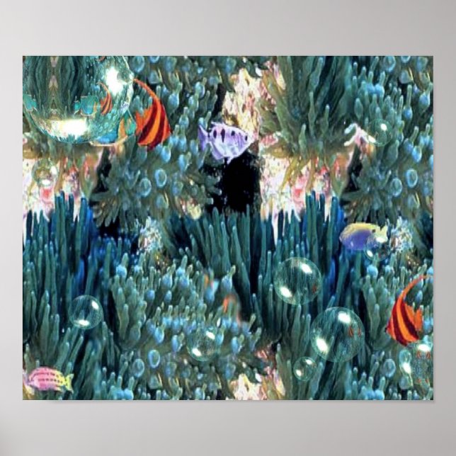 Acquatic Life Poster (Front)