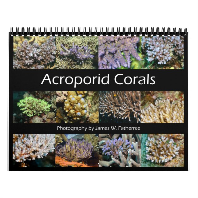 Acroporid Corals Wall Calendar by J.W. Fatherree. (Cover)