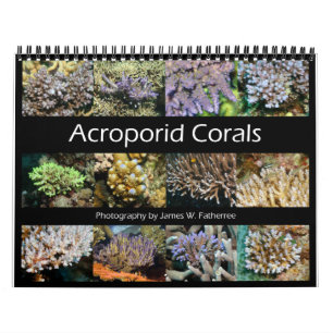 Acroporid Corals Wall Calendar by J.W. Fatherree.