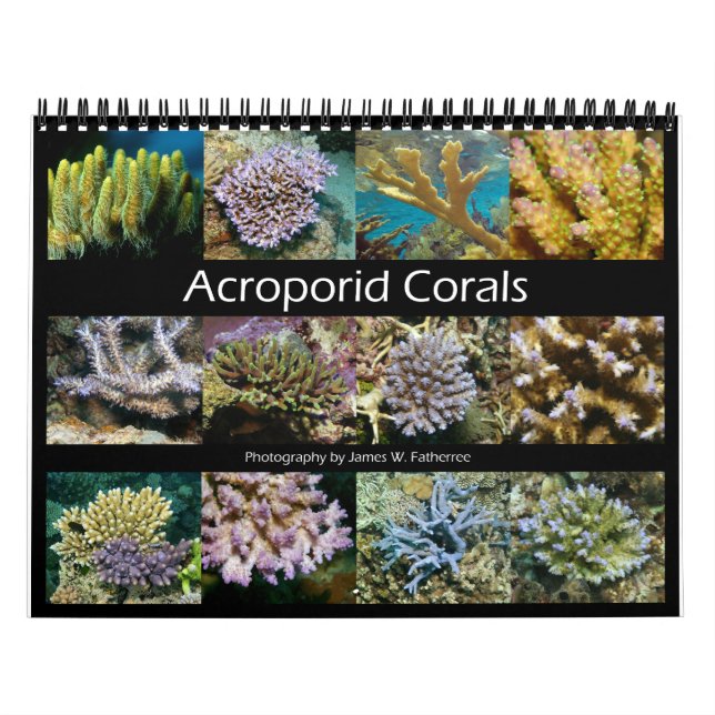 Acroporid Corals Wall Calendar by J.W. Fatherree. (Cover)