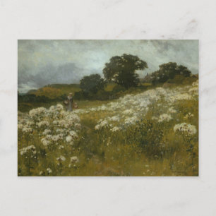 Across the Fields Postcard