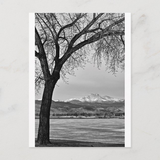 Across The Lake in Black and White Postcard (Front)