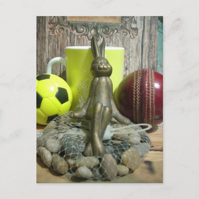 Across the Pitch & Crease: Football Cricket Blend Postcard (Front)
