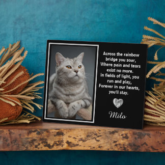 Across The Rainbow Bridge Silver Pet Dog Memorial Plaque