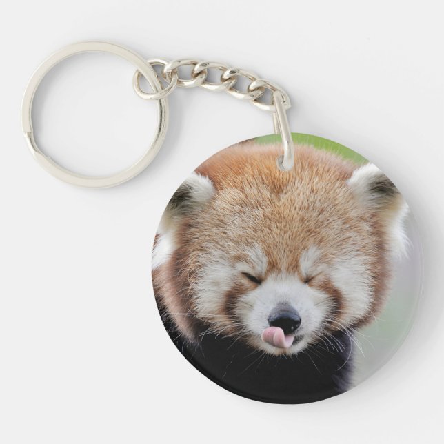 Acrylic keychain. Photo red panda, panda roux. Key Ring (Front)