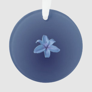 Acrylic Ornament