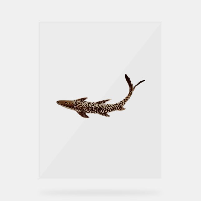 Acrylic Sign FISH STYLE DESIGN (Front)