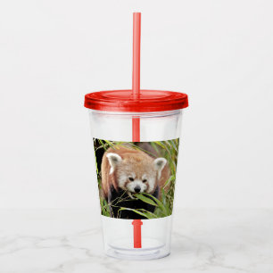 Acrylic tumbler. Photo red panda , panda roux. Tumbler